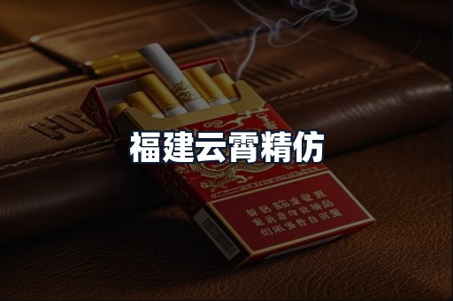 福建云霄精仿
